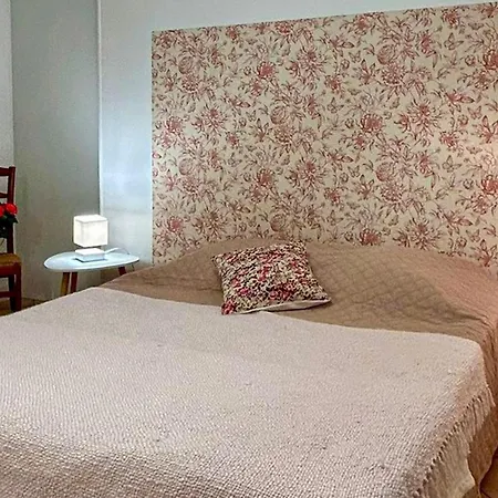 Pet Friendly In With Wifi